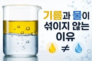 기름과 물이 섞이지 않은 이유