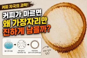 커피가 마르면 왜 가장자리만 진하게 남을까